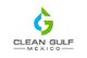Clean Gulf Mexico