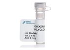 Ethos - Chicken Anti-Albumin Polyclonal Antibody (anti-ALB IgY)