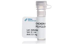 Ethos - Chicken Anti-Albumin Polyclonal Antibody (anti-ALB IgY)