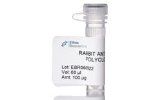 Ethos - Fractionation Purified Rabbit Anti-Mouse Albumin Polyclonal Antibody