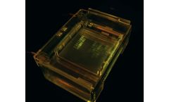 Viridi DNA Stains