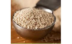 Lifespan - Powders & Granules