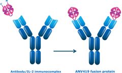 Model ANV419 - Systemic no-alpha IL-2 Immunotherapy