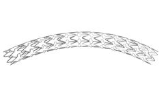 Amg - Model ITRIXII - Sirolimus-Eluting Coronary Stent Implantation System