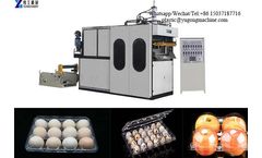 YG - Model Plastic - Plastic Egg Tray Carton Making Forming Machine