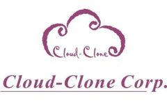 Cloud-Clone - Polyclonal Antibody to Collagen Type X (COL10)