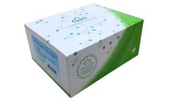 Cloud-Clone - Model SEA180Mu - ELISA Kit for Collagen Type IV (COL4)