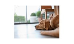 Air filtration solutions & corrosion monitors for animal