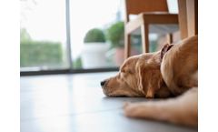 Air filtration solutions & corrosion monitors for odor control