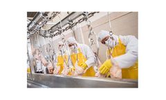 PuraShield - Model Pro - Cabinet