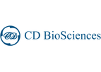 CD-BioSciences - Model 14-3-3-SPA-00011 - Stratifin Antibody