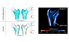 3D Shaper - Data Analysis Service