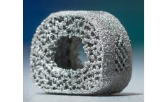 TigerShark - Model C - Revolutionizing Spinal Surgery Allograft