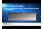 Polymicrobial Sample - Video