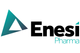 Enesi Pharma Limited