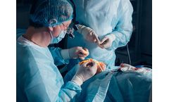 Antimicrobial Resistance (AMR) Treatments