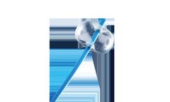 AGS - Stone Retrieval Balloon