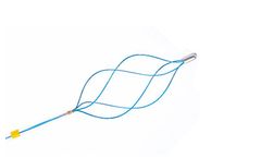 AGS - Disposable Stone Extraction Basket