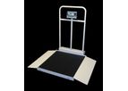 Model MX450D - Dual Ramp Tilt & Roll Wheelchair Scale with Handrail
