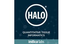 Image Analysis Platform Software - Brochure