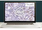 Halo - Image Analysis Platform Software