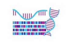 CompBio - Omics Analysis Software
