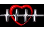 Meditech Consulting Services