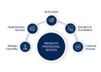 Professional Services