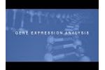Gene Expression Analysis in Partek Flow Bioinformatics Software - Video