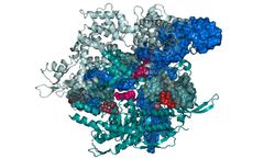 Proprietary Software for Research Division