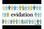 Evidation`s Year End Celebration - Video