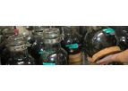 BCS: Biogas, Consultancy & Support Services