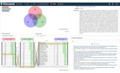 iPathwayGuide - Meta Analysis - Video