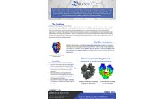 SilcsBio - Version SILCS-BIOLOGICS - Leading-Edge Software - Brochure