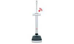 seca - Model 703 - EMR-Validated Column Scale With 660 Pounds Capacity