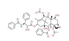 Epichem - Model EPL-NP1 - Paclitaxel