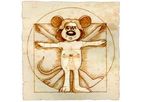 Ozgene - Humanized Mice Service