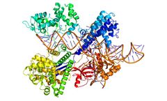 Cyrus - CRISPR Technology