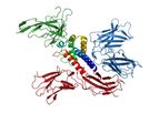 Cyrus - Novel IL-2 Autoimmunity Technology