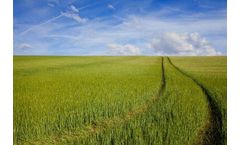 Molecular Machines for Agriculture