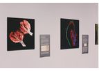 Digital Microscopic Imaging and Morphometric Analysis