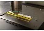 Immucor - Transfusion Molecular Testing Tools