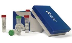 naica EvaGreen Compatible - PCR Mix