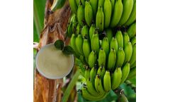 Green House Water Soluble Fertilizer Amino Acid Powder Amino Acid 70% Fertilizer