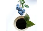 Natural amino acid-based fertilisers Calcium Magnesium chelated Amino acid liquid fertilizer