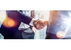 Regulatory Strategy and Support Services