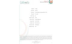 Sample Report for Singula