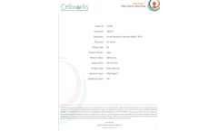 Sample Report for Ventura