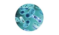 Integrated Solution for Microbial Detection