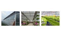 Greenhouse